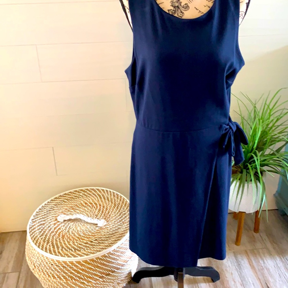 Ann Taylor Loft Dress